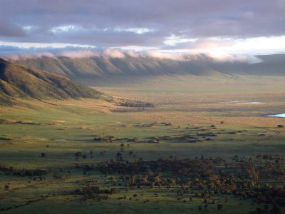 Ngorongoro